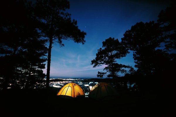 Wie kann man die lokale Tierwelt beim Camping schützen?